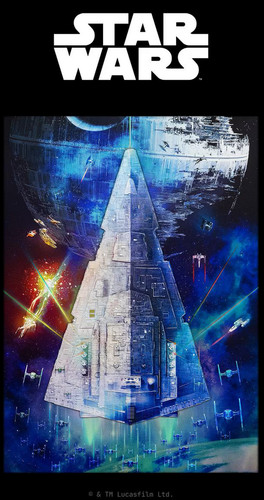 The seller's photo of Imperial Star Destroyer
