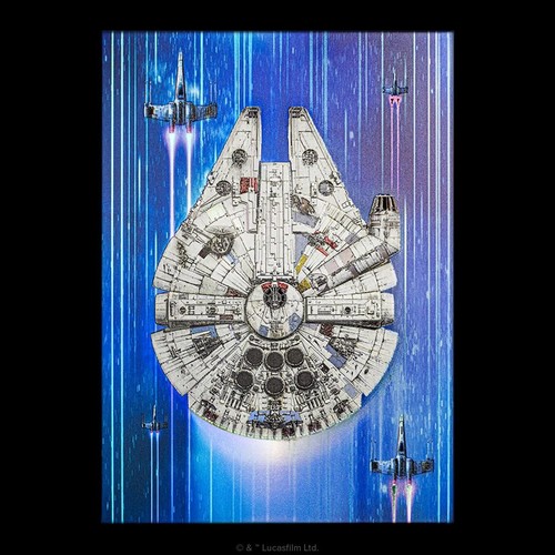 The seller's photo of Millennium Falcon