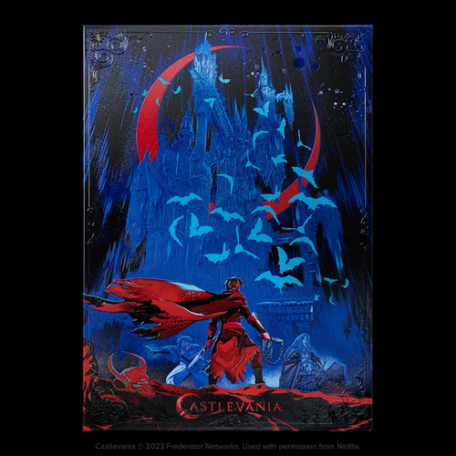 The seller's photo of Castlevania Heroes
