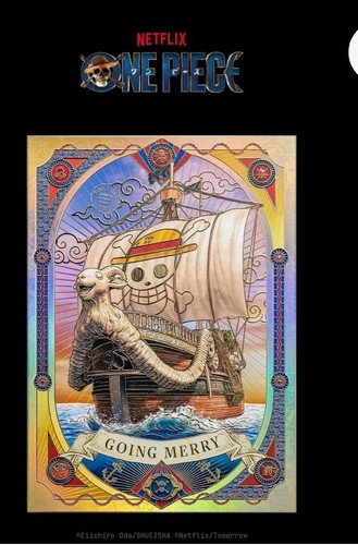 The seller's photo of Going Merry
