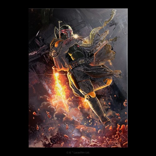 The seller's photo of The Book of Boba Fett
