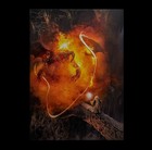 The seller's photo of You Shall Not Pass