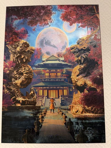 The seller's photo of Samurai Ascension
